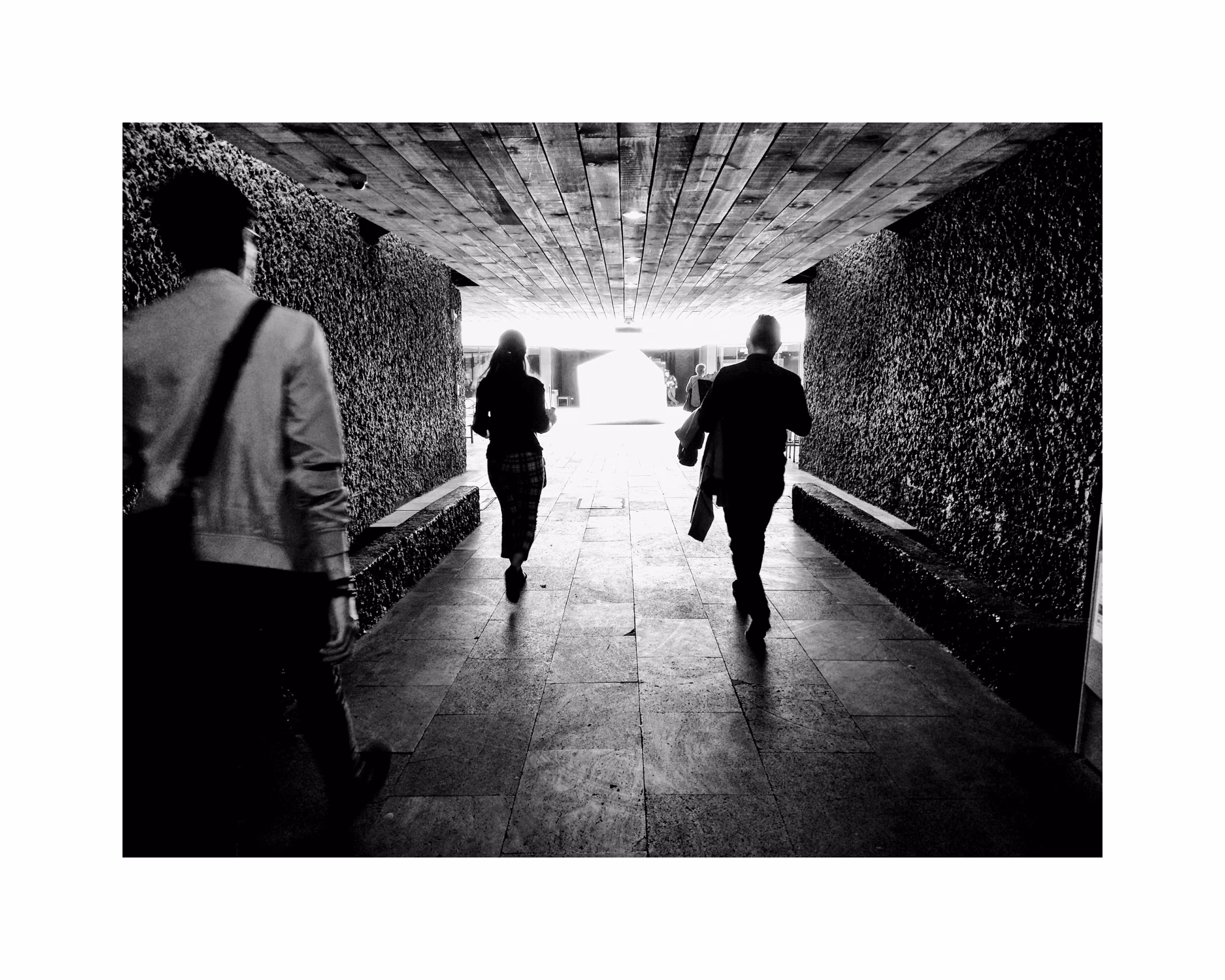 (A0075W00001) Ve hacia la luz