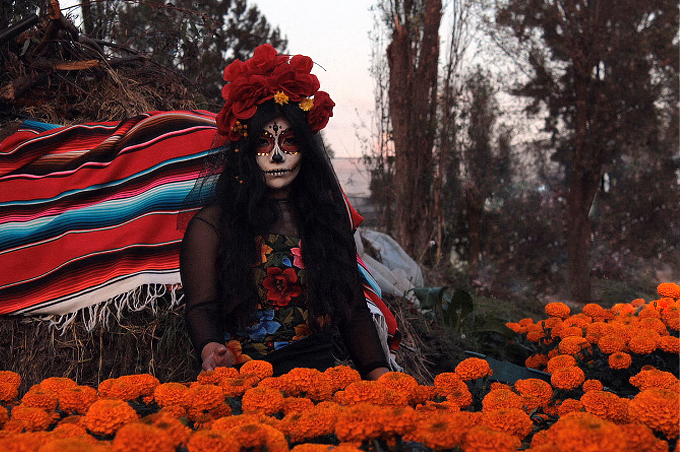 (A0028W00001) (A0028W00001)